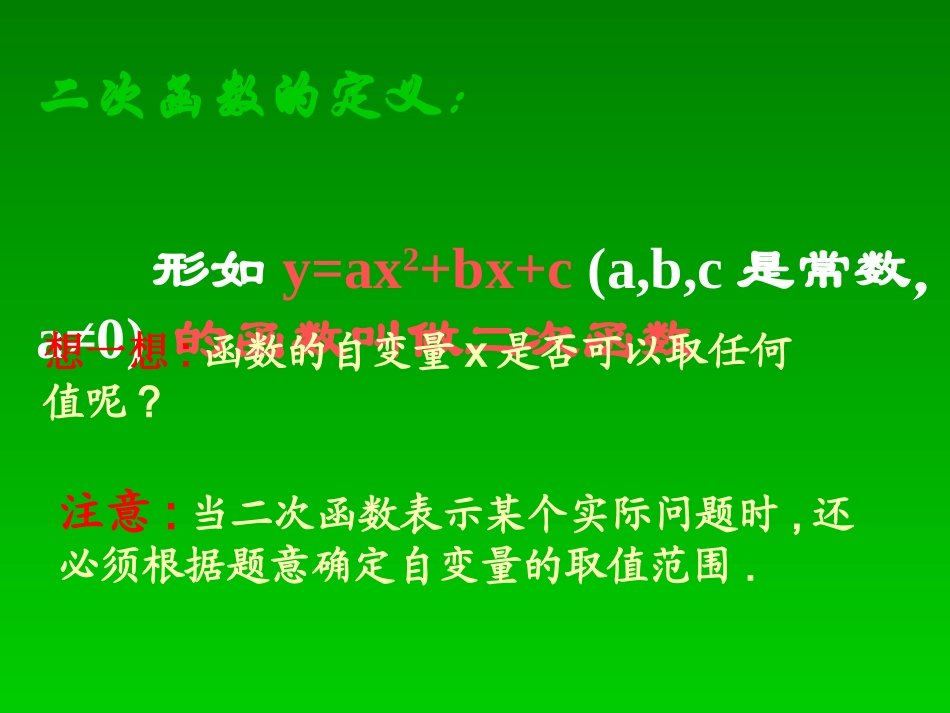 二次函数（1）马红萍_第2页