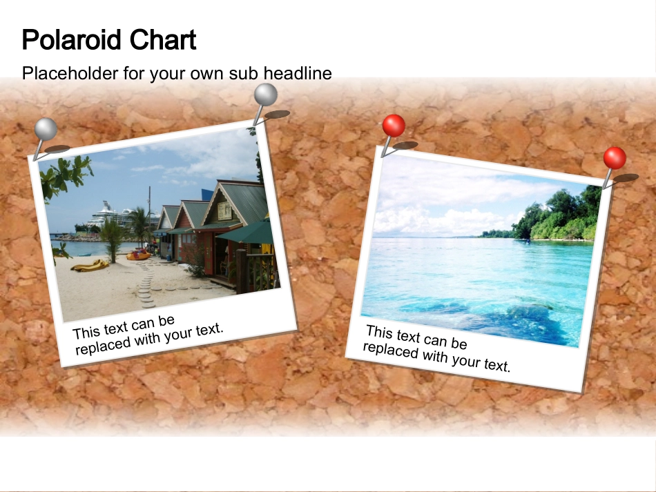 种照片排版展示PPT模板_第3页