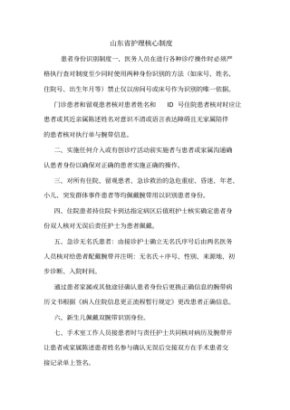 山东护理核心制度