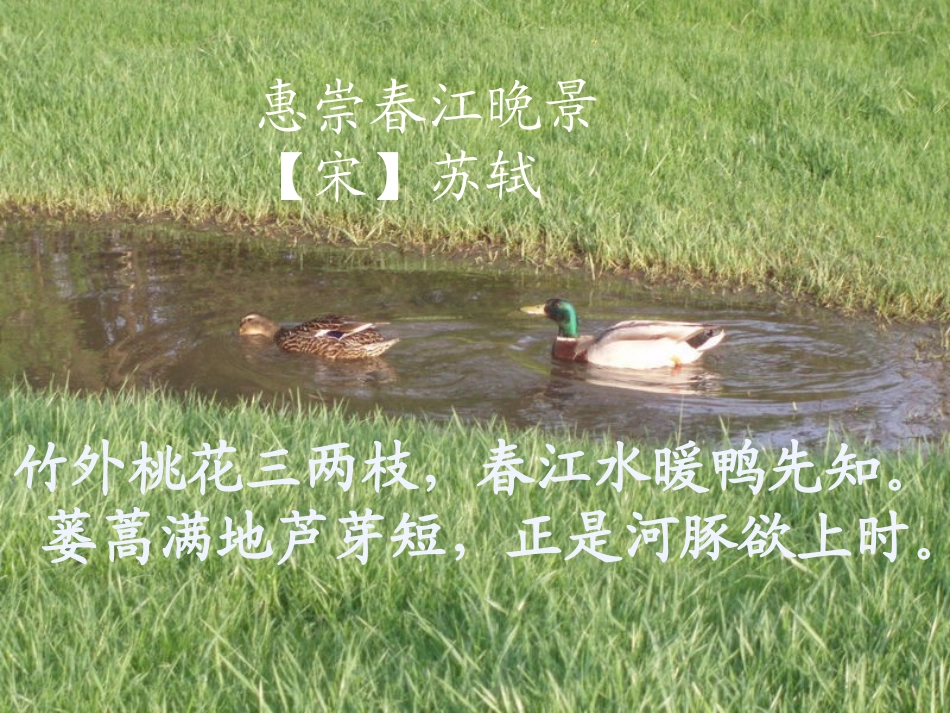 惠崇春江晚景_第1页