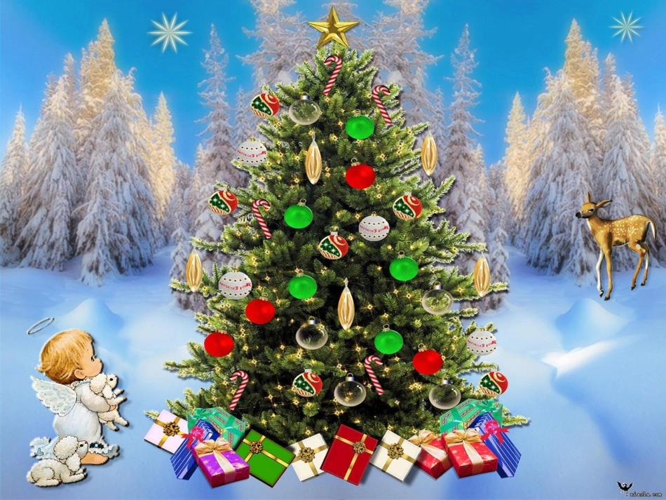 人教版小学三年级语文上册第八单元第31课《给予树》PPT课件_第3页