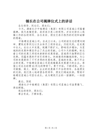 镇长在公司揭牌仪式上的讲话发言