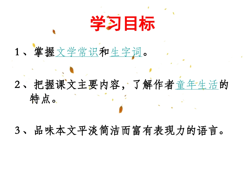 我的童年课件_第3页