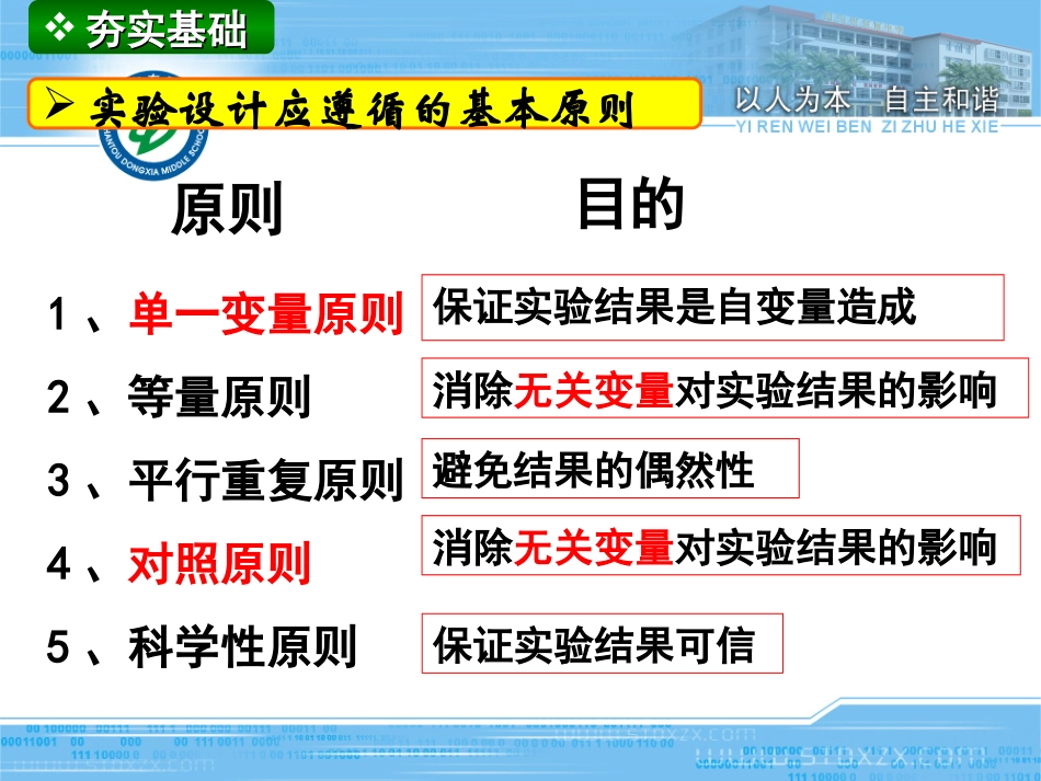 [实验专题]实验设计与突破——东厦中学林金哲_第3页