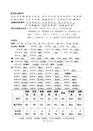 人教版九年级化学常见的化学式1