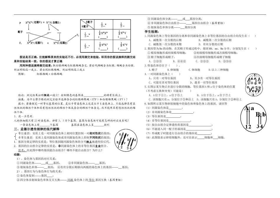 基因在染色体上自学案_第2页