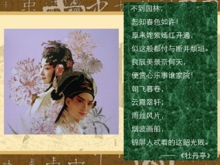 漫步中外园林艺术