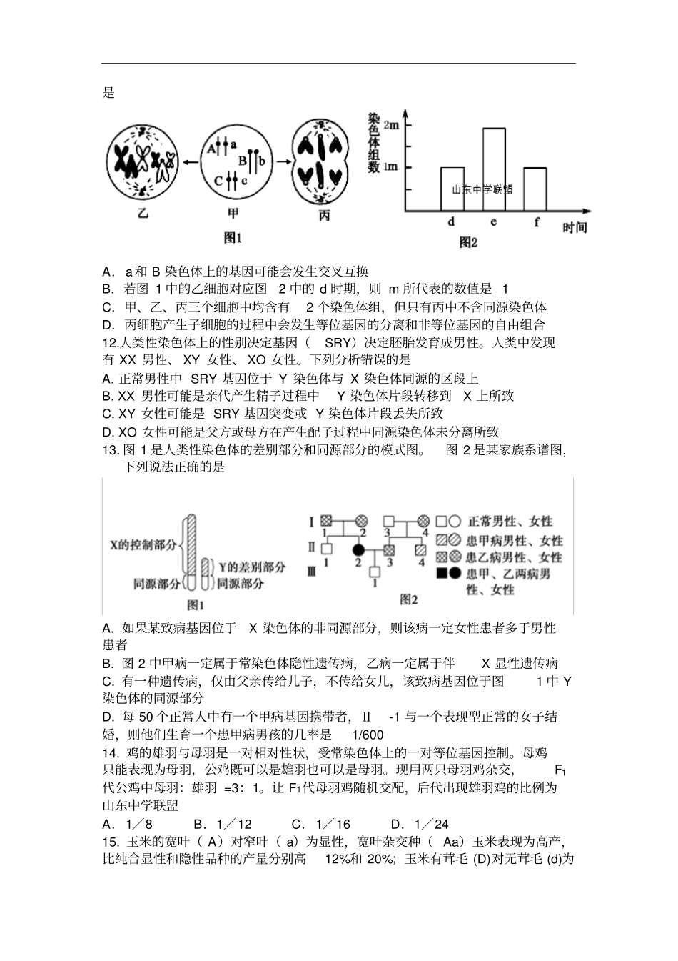 山东济南章丘四中高三上学期10月阶段检测生物试题_第3页