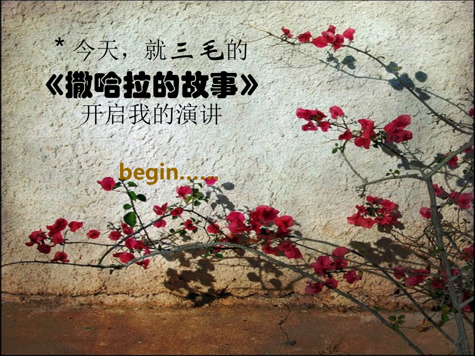 三毛与《撒哈拉的故事》_第2页