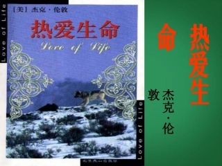 《热爱生命》课件
