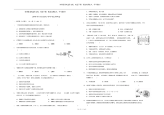 山东济宁2019年中考生物真题试题含解析