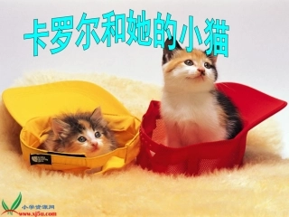 《卡罗尔和她的小猫》第二课时