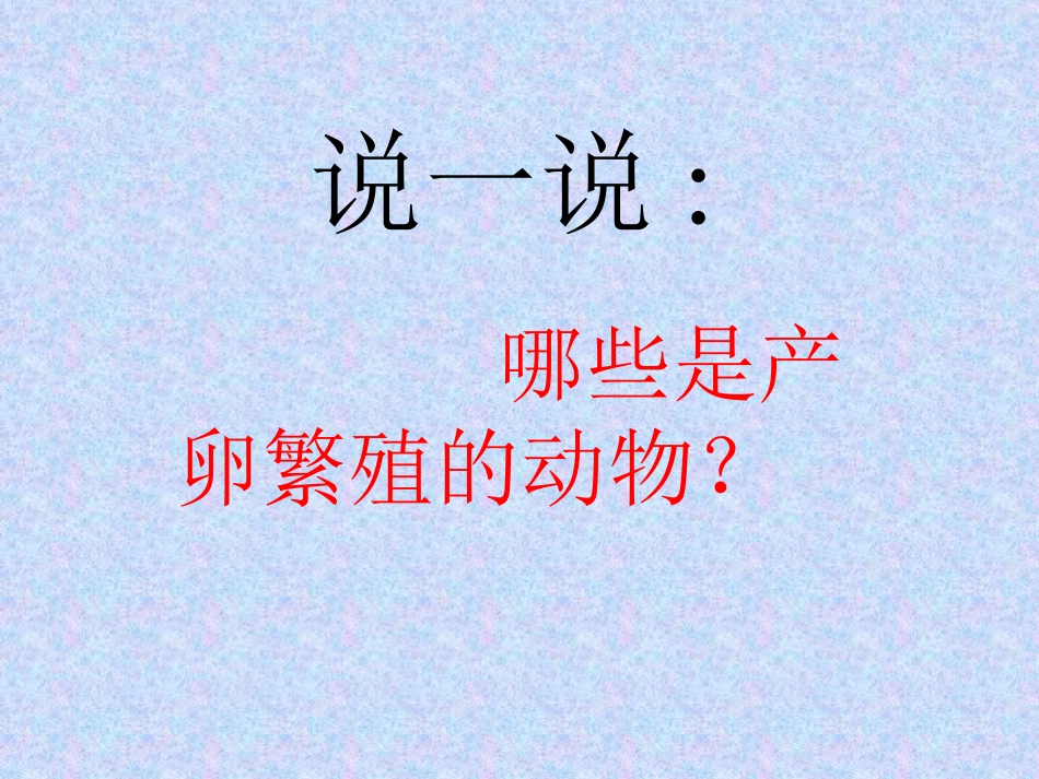 动物的卵课件_第3页