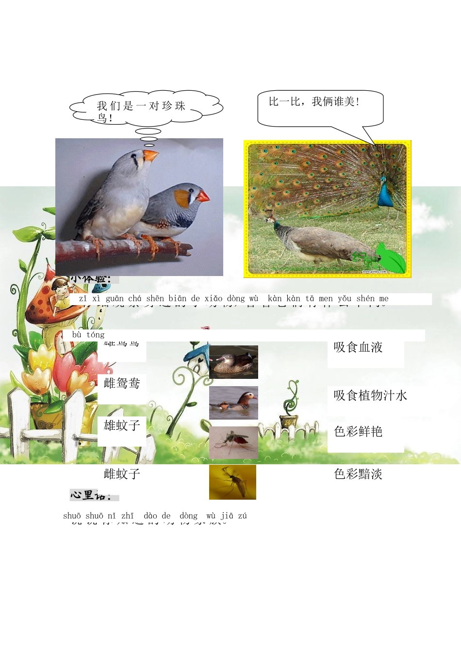 第三课生命有性别_第2页