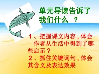 《钓鱼的启示》教学课件