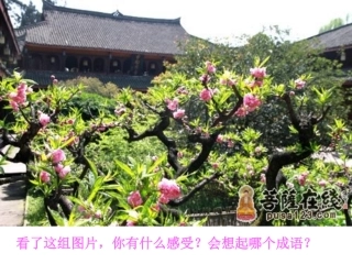 《桃花源记》