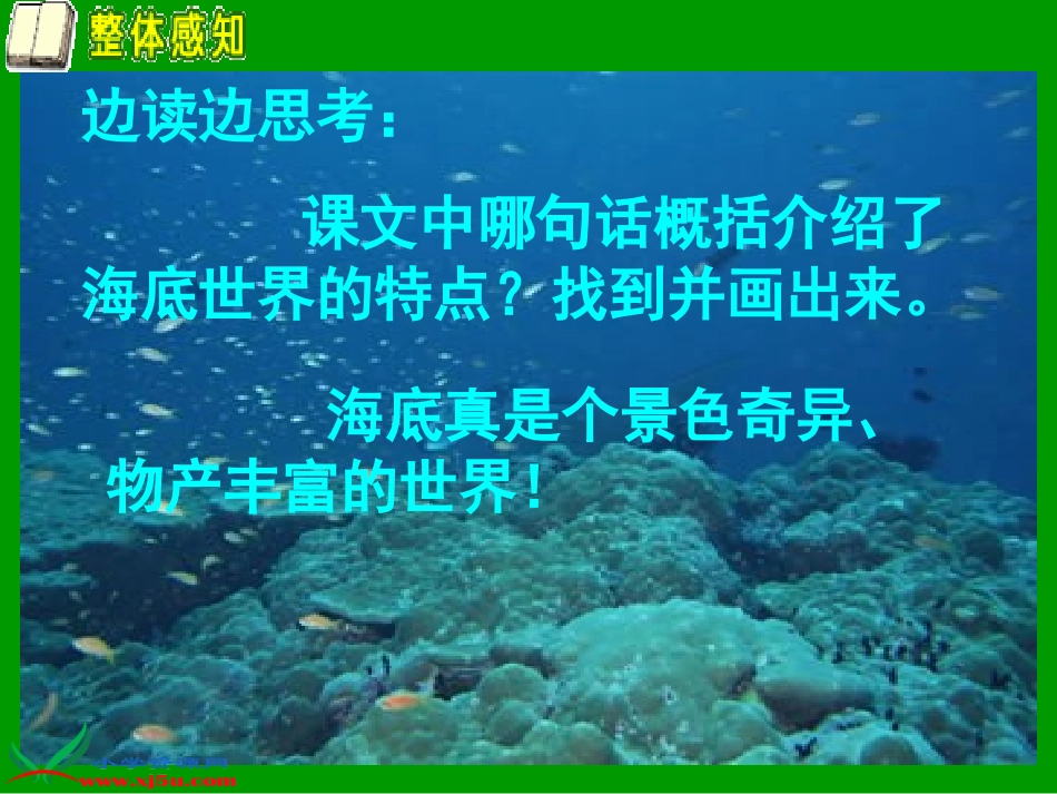 北师大版三年级语文上册《海底世界》PPT_第3页