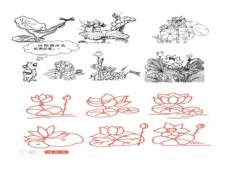 牵牛花简笔画_第3页
