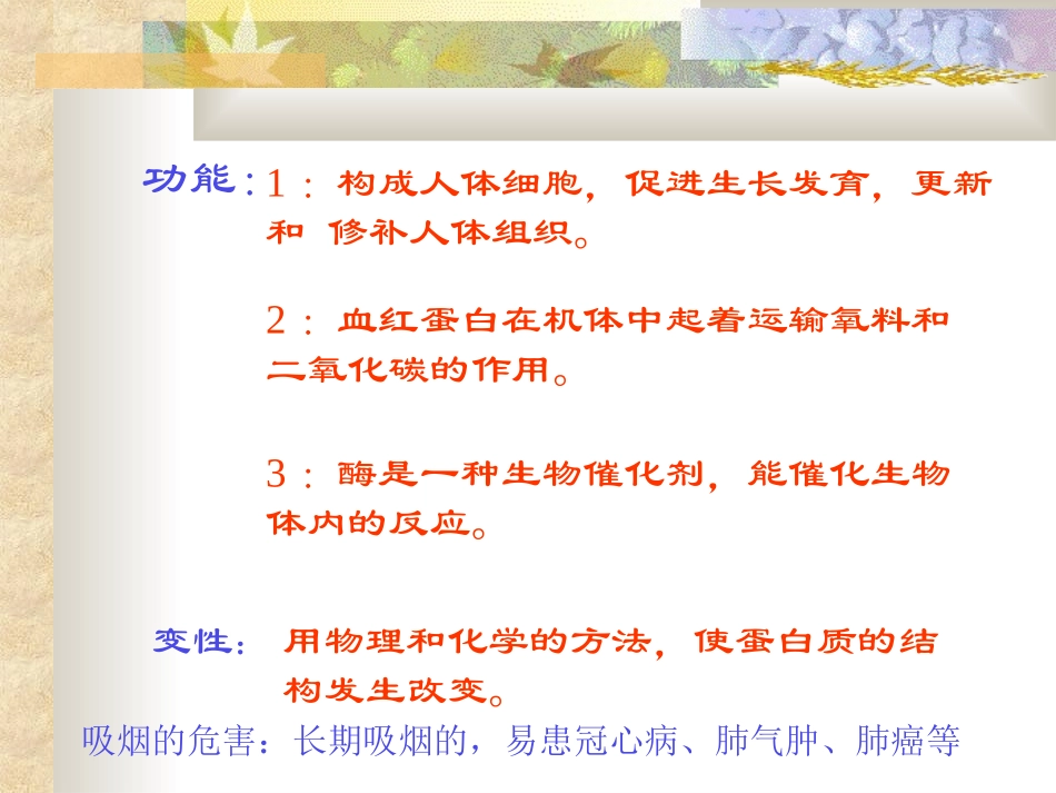 人类重要的营养物质2_第3页