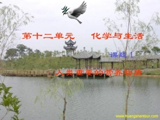 人类重要的营养物质2