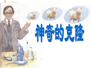 神奇的克隆正式