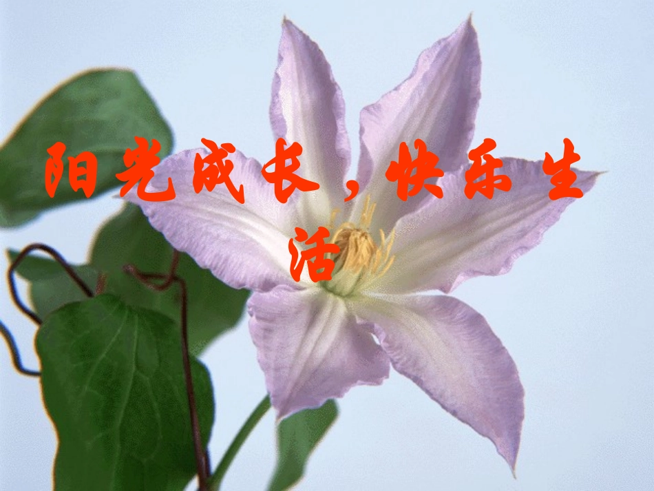 学会宽容_快乐生活班会_第1页