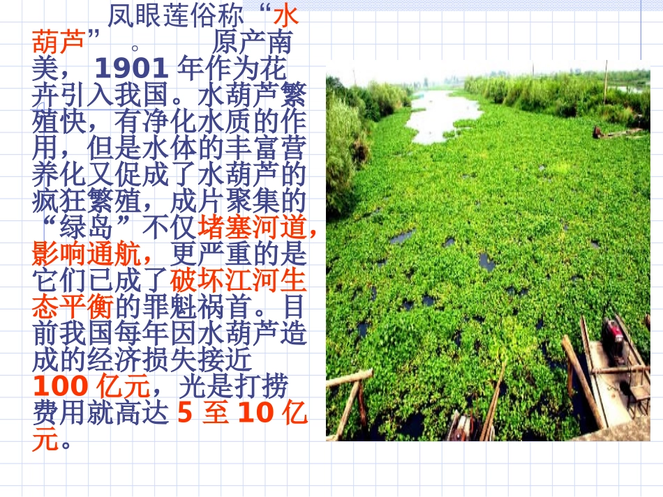 《生物入侵者》 (2)_第1页