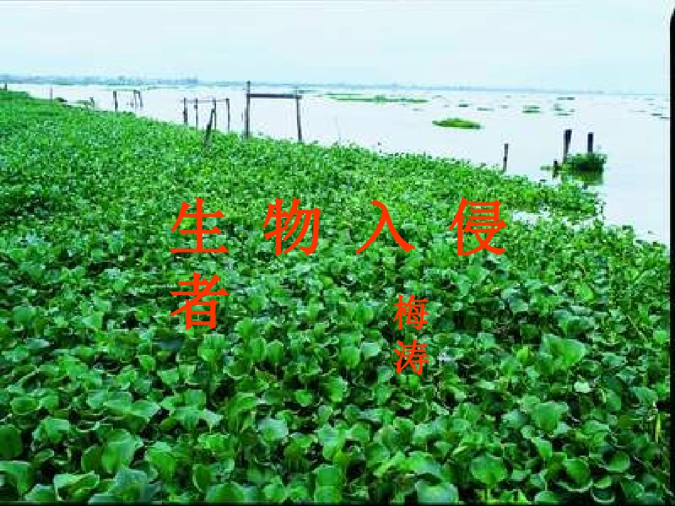 《生物入侵者》 (2)_第2页