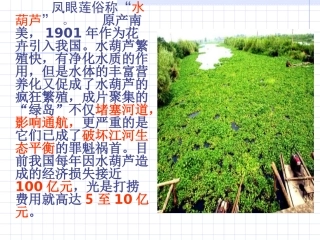 《生物入侵者》 (2)