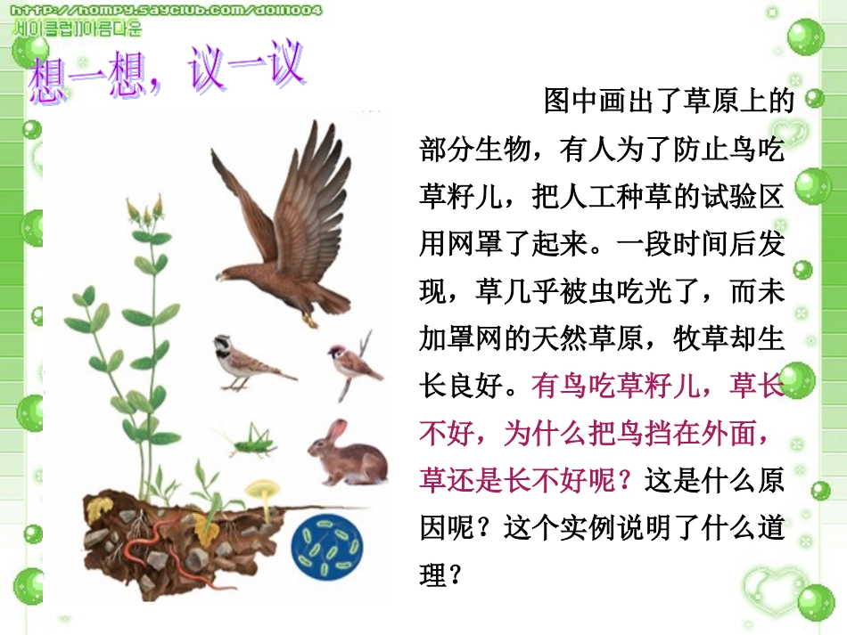 优秀教案(课时)—《生物与环境组成生态系统》课件2_第3页