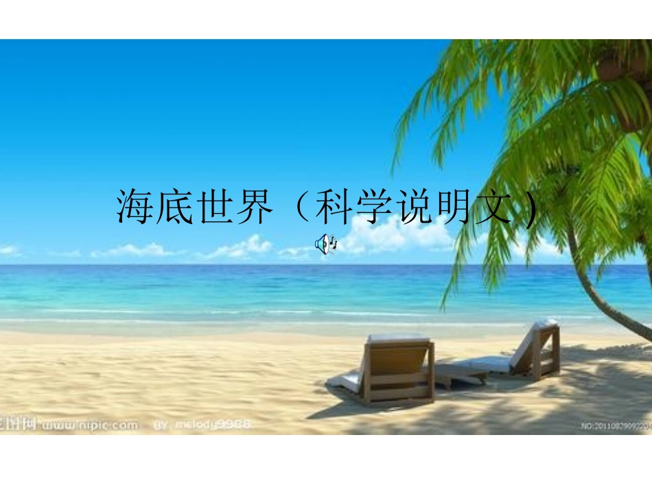 海底世界 (2)_第1页