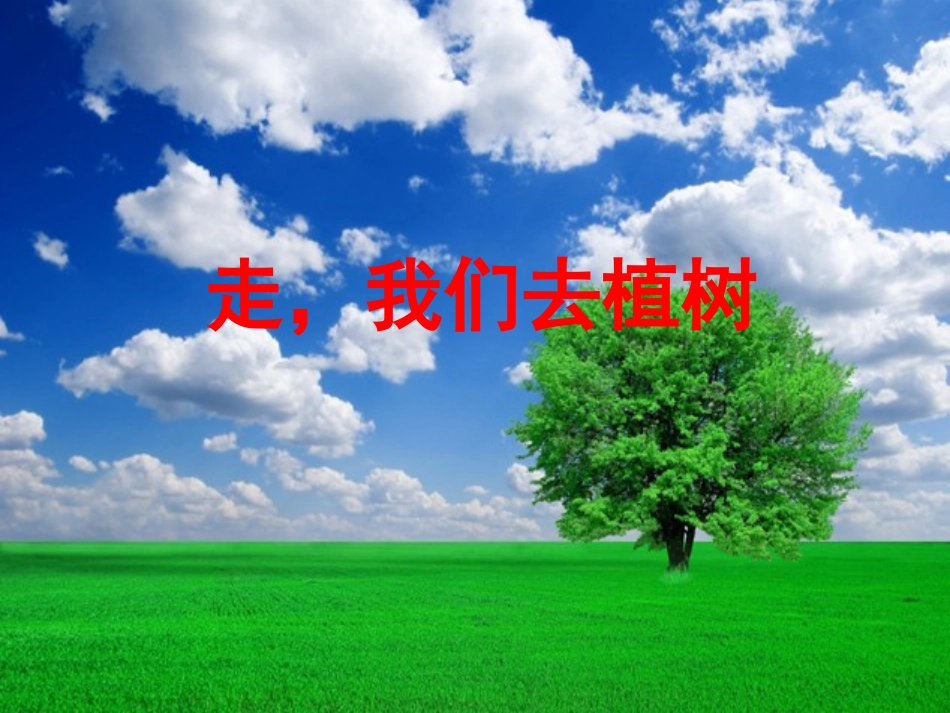 《走，我们去植树》教学课件2_第1页