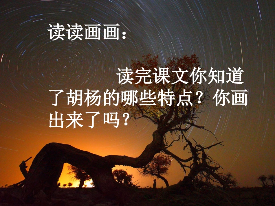 西风胡杨课件_第3页