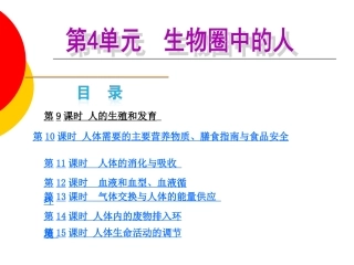 精卵结合孕育新的生命