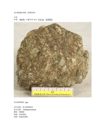 岩石构造标本集沉积岩类全解