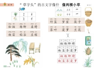 苏教版二年级语文下册《识字3》PPT课件