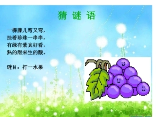 二年级上册17_酸的和甜的课件