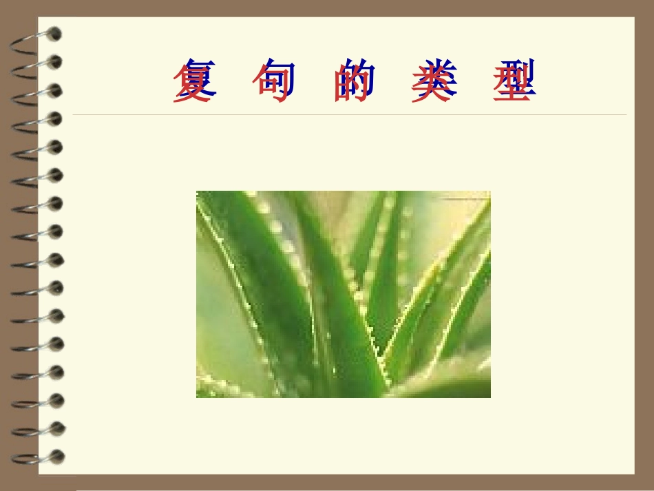 复句的类型___用_第1页