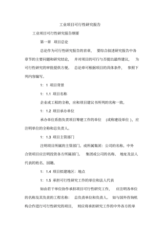 工业项目可行性研究报告