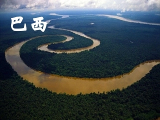 巴西2013