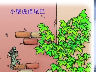 小壁虎借尾巴 