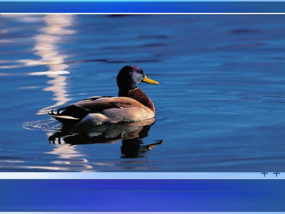 初三物理浮力课件_第2页