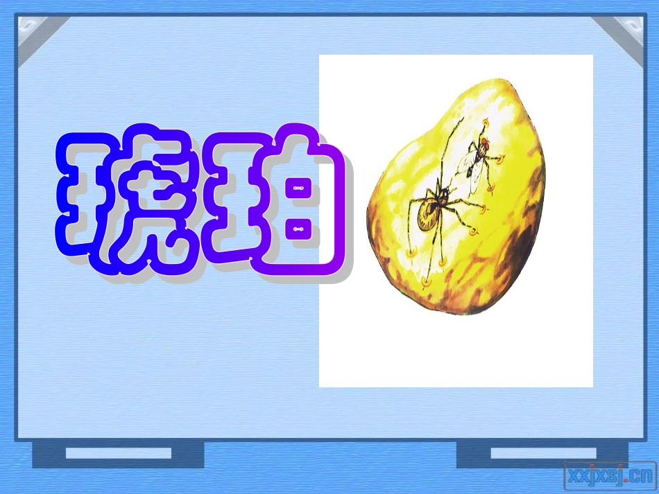 琥珀课件(北师大版语文六年级下册)[1]_第1页