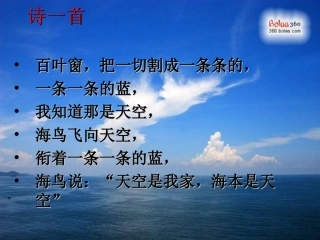 五年级下《我爱大海》