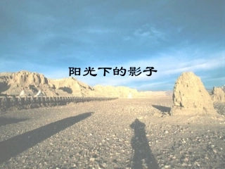 阳光下的影子