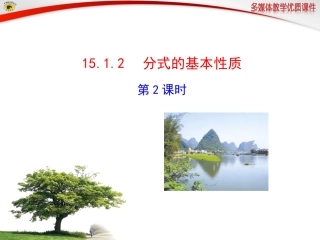 分式的基本性质第课时