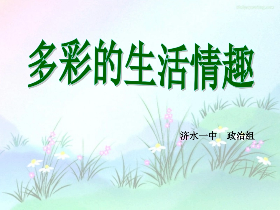 多彩的生活情趣_第2页