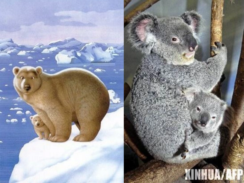 《我的母亲》课件【46页】 (2)_第1页