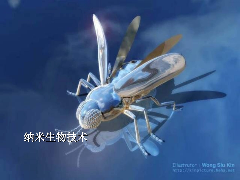 《神奇的纳米》课件_第3页