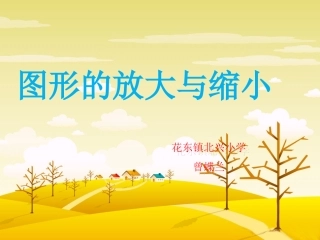 《图形的放大与缩小》